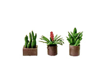Load image into Gallery viewer, 1:64 Painted Figure Mini Model Miniature Resin Diorama Sand Toy Potted Plant Set
