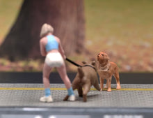 Load image into Gallery viewer, 1:64 Painted Figure Model Miniature Resin Sand Dog Walking Girl Lady Woman Pet
