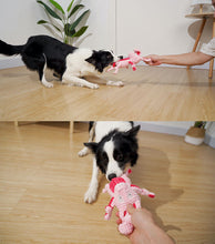Load image into Gallery viewer, Dog Squeaky Toys Chew Puppy Fluffy Toy Durable Fabric Teeth Grinding PET Pink

