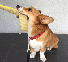 Load image into Gallery viewer, Dog Squeaky Toys Snake Shape Chew Puppy Fluffy Toy Durablc Teeth Grinding Pet
