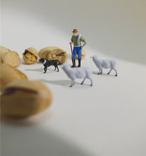 Load image into Gallery viewer, 1:64 Painted Figure Model Miniature Resin Diorama Sand Shepherd Sheep Man Collie
