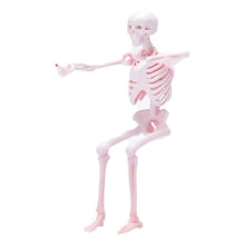 Load image into Gallery viewer, 1:64 Painted Figure Model Miniature Resin Diorama Sand Skeleton Skull Toy White Collection

