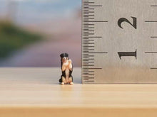 Load image into Gallery viewer, 1:64 Painted Figure Model Miniature Resin Diorama Sand Bernese Mountain Dog Toy
