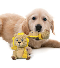 Load image into Gallery viewer, Dog Squeaky Toys Animal Shape Chew Puppy Canvas Toy Durablc Teeth Grinding Pet
