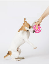 Load image into Gallery viewer, Dog Squeaky Toys Chew Rubber Pet Play Fetch Reduce Anxiety Puppy Cat Non-Toxic
