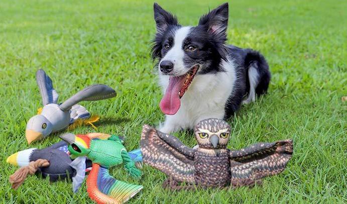 Dog Toys, Self-stimulating, Teeth Grinding, Chewing And Boredom Relief Toys,  Knotted Rope Toys, Eagle Style Dog Pet Supplies