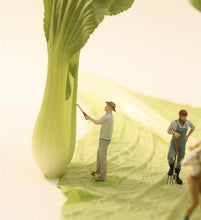 Load image into Gallery viewer, 1:64 Painted Figure Model Miniature Resin Diorama Sand Gardener Worker Pruning
