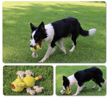 Load image into Gallery viewer, Dog Squeaky Toys Chew Puppy Fluffy Toy Durable Fabric Rope Teeth Grinding PET
