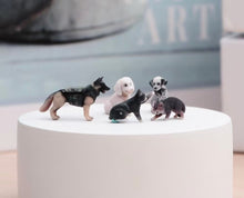 Load image into Gallery viewer, 1:64 Painted Figure Model Miniature Resin Diorama Sand Cats and Dogs Set Pet Toy
