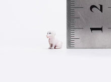 Load image into Gallery viewer, 1:64 Painted Figure Model Miniature Resin Diorama Sand Cats and Dogs Set Pet Toy
