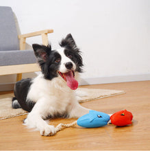 Load image into Gallery viewer, Dog Squeaky Toys Chew Puppy Rubber Rope Toy Durable Aggressive Chewers Pet Shark
