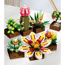 Load image into Gallery viewer, 913PCS MOC Succulent Flower Bonsai Model Toy Building Block Brick Gift Kids DIY Set New Display Decorate Compatible Lego
