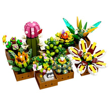 Load image into Gallery viewer, 913PCS MOC Succulent Flower Bonsai Model Toy Building Block Brick Gift Kids DIY Set New Display Decorate Compatible Lego
