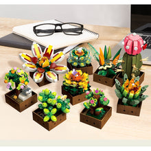 Load image into Gallery viewer, 913PCS MOC Succulent Flower Bonsai Model Toy Building Block Brick Gift Kids DIY Set New Display Decorate Compatible Lego
