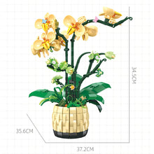Load image into Gallery viewer, 971PCS MOC Orchid Grace Flower Vase Model Toy Building Block Brick Gift Kids DIY Set New Display Decoration
