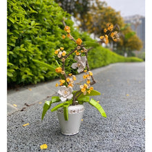 Load image into Gallery viewer, 430PCS MOC Sweet Osmanthus Fragrans Flower Floral Model Toy Building Block Brick Gift Kids Compatible Lego Display With Vase

